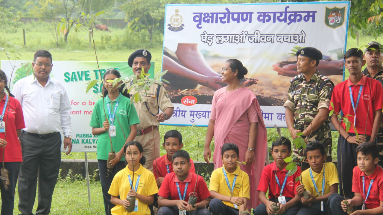 Tree Plantation